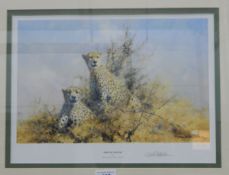 After David Shepherd Limited edition colour print 