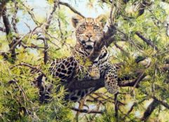 After Simon Combes Limited edition colour prints 