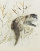 A quantity of pictures and prints