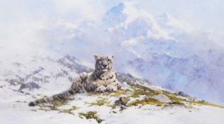 After David Shepherd Limited edition colour print 