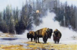 After David Shepherd Limited edition colour print 