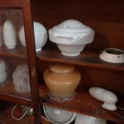 An interesting collection of retro lights and lamp shades.