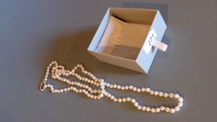 An Akoya pearl necklace with 925 silver clasp, 45 inches long in original box.