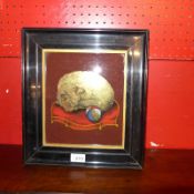 A pair of late 19th century Verre eglomise studies of kittens on cushions in ebonised frames.