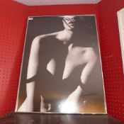 Bruno Bisang, a framed and glazed black and white print of a lady, in artists pose. 60 x 82cm.