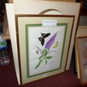 A glazed and framed watercolour of butterflies and an unframed still life by Joanna A. Lome.