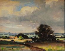 Roy Petley (b.1950) 'Field in Cressen Hall' oil on board, signed lower left, 20cm x 23cm.
