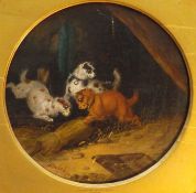 George Armfield (1808-1893) A 19th Century oval oil on canvas illustrating terriers playing in a