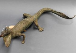 A contemporary bronze sculpture of a prowling crocodile