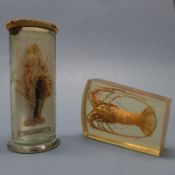 A preserved crayfish set into a celluloid block to form a paperweight and a preserved crustacean set