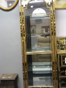 Japanese Lacquered Gilt & Mother of Pearl Decoration Display Cabinet