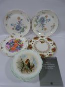 10 Royal Albert Decorative Wall Plates & 4 Others