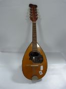 Mandolin
