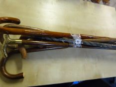 Collection of Walking Sticks