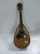 Mandolin