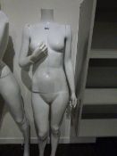 *Female Mannequin