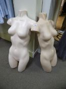 *Pair of Female Torsos