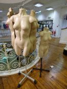 *2 Spinner Display Stands and 6 Female Torsos