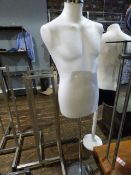 *Male Torso on Chrome Support