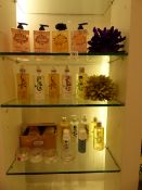 *Contents of 3 Shelves including Seascape and Other Products