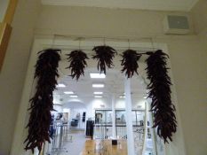 *Dried Chilli Display