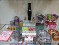 *Shelf Containing Headphones - Decorative Butterflies - Candles etc