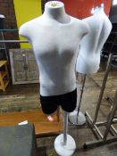 *Male Torso on Wood Stand