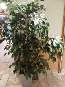 *Artificial Ivy in Planter