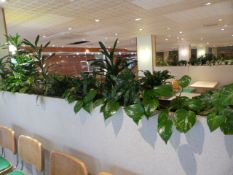 *Pair of Formica Planters Complete with Metal Plastic Liners and Plants