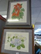 2 Original Water Colours by Penny Settle