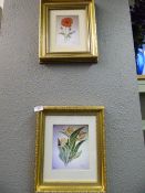 2 Limited Edition Gilt Framed Prints by Penny Settle