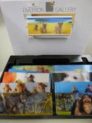 *SELECTION OF 3D EMOTION GALLERY PICTURES