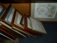 Large Quantity of Original of Water Colours - Framed Prints etc