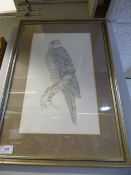 Water Color Depicting Bird of Prey