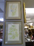 2 Framed Floral Prints