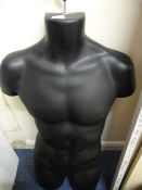 *Male Torso