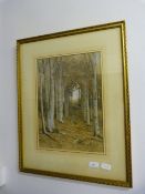 Framed Print Depicting a Woodland Scene