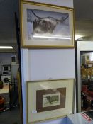 Pair of Prints - West Highland Cattle