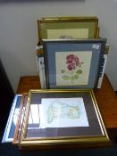 9 Framed Floral Water Colours and Prints