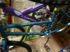 Raleigh Mountain Bike - Turquoise