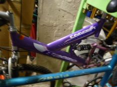Concept Mountain Bike - Purple