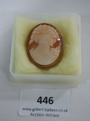 Shell Cameo on Gold Frame