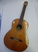 Ibanez Andorra Guitar in Case