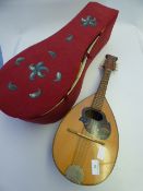 A Mandolin in Case