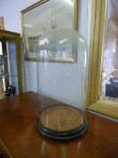 Large Glass Dome on Wooden Base