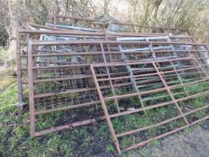 14 Assorted Farm and Agricultural Gates