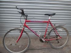 Falcon Warrior Gents Mountain Bike - Red