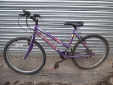 Wild Thing Universal Mountain Bike - Purple