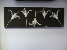 Elongated Canvas Depicting Lilly's