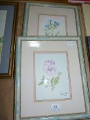 2 Penny Settle Water Colours Depicting Flowers